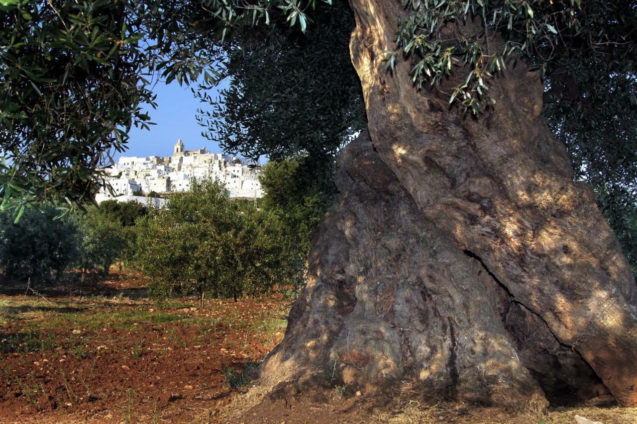 B&B La Stradella Ostuni Bagian luar foto